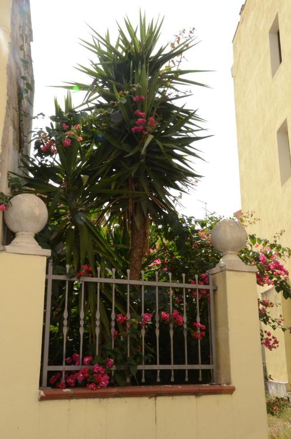 Bed and Breakfast Casa Cabras Siniscola Zewnętrze zdjęcie